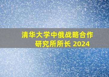 清华大学中俄战略合作研究所所长 2024